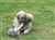 DSC00837.JPG