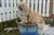 DSC_0161.JPG